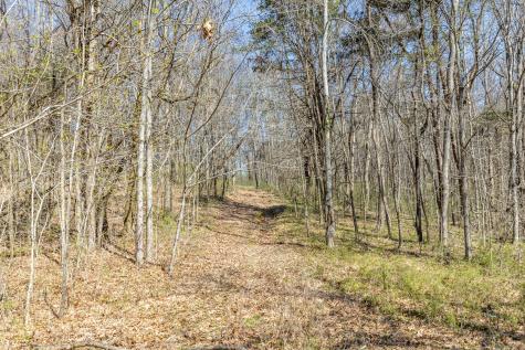 2739 Pickens Road Lynnville TN 38472