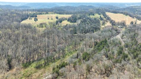 2739 Pickens Road Lynnville TN 38472