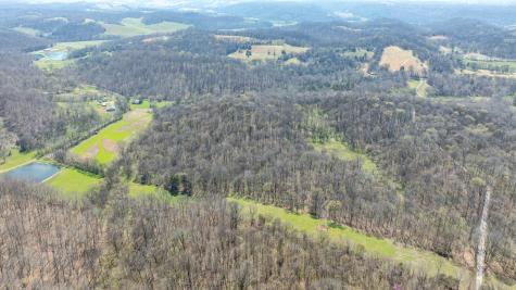 2739 Pickens Road Lynnville TN 38472