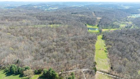 2739 Pickens Road Lynnville TN 38472