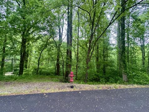 0 Baymont Drive Lancaster TN 38569