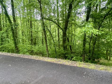 0 Baymont Drive Lancaster TN 38569