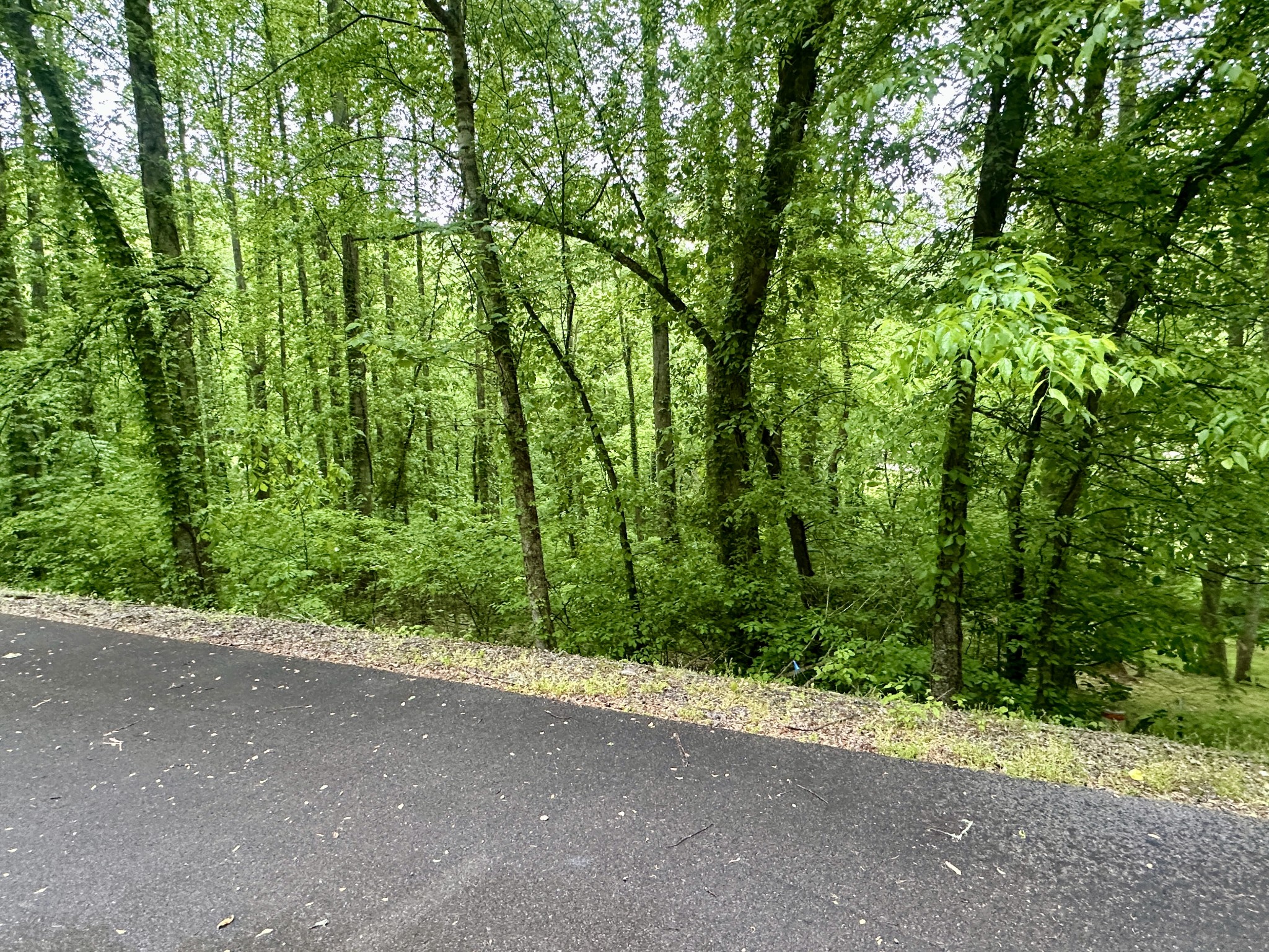 0 Baymont Drive Lancaster TN 38569