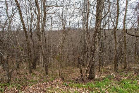 0 Coconut Ridge Road Smithville TN 37166