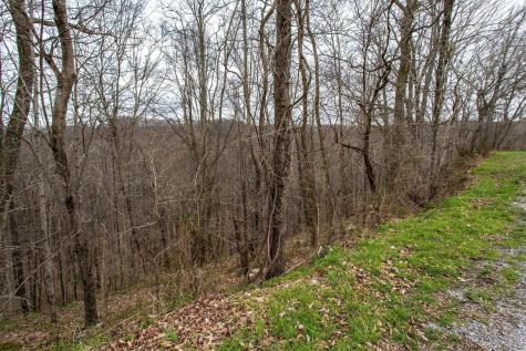 0 Coconut Ridge Road Smithville TN 37166
