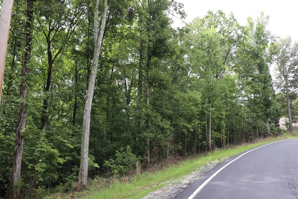 0 Moonlight Bay Drive Sparta TN 38583