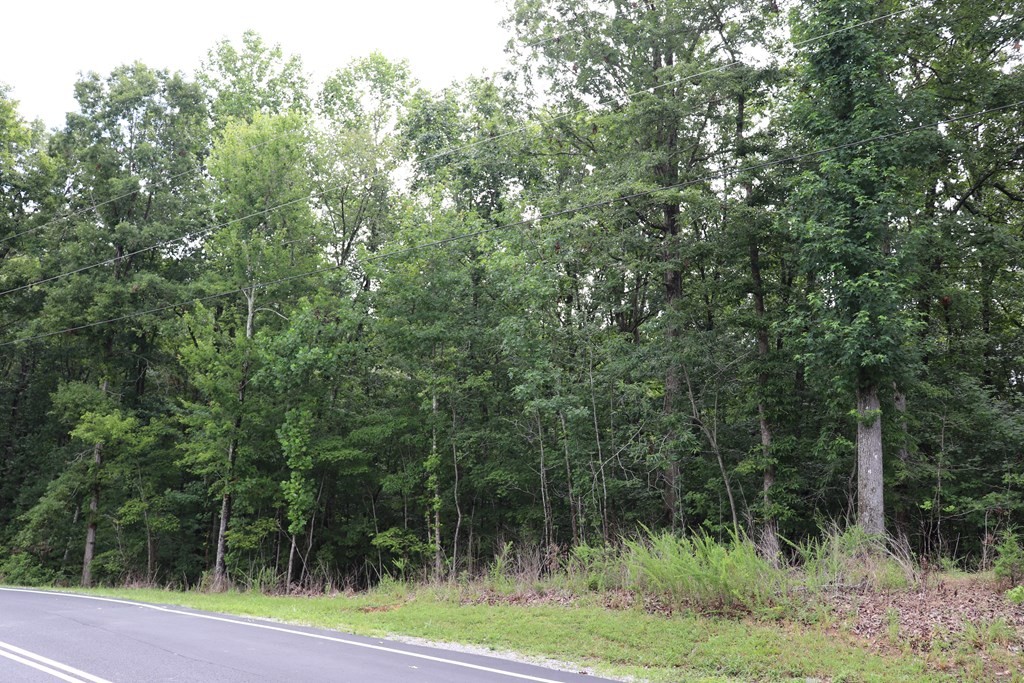 0 Moonlight Bay Drive Sparta TN 38583