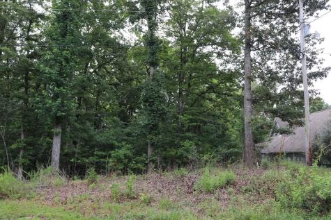 0 Moonlight Bay Drive Sparta TN 38583