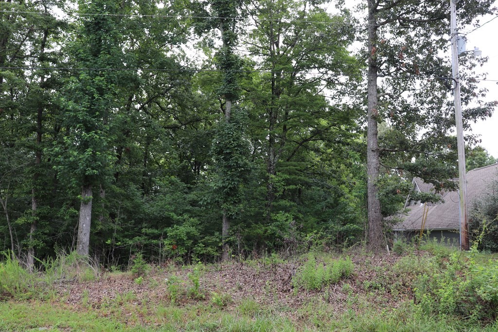 0 Moonlight Bay Drive Sparta TN 38583