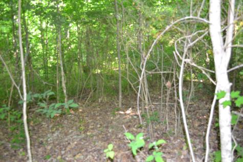 0 Dynamite Lane Livingston TN 38570