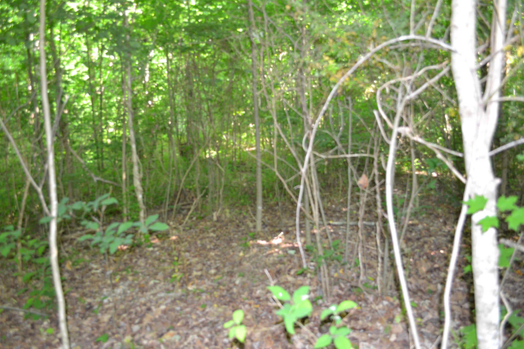 0 Dynamite Lane Livingston TN 38570