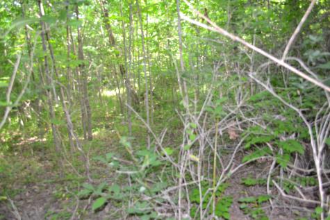0 Dynamite Lane Livingston TN 38570