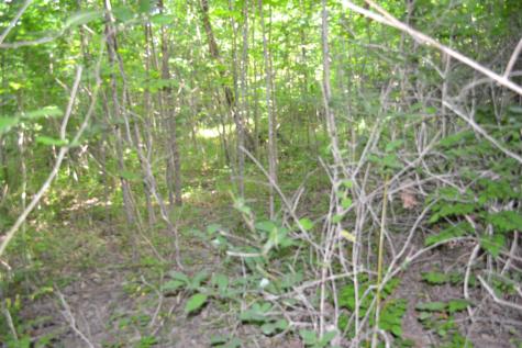 0 Dynamite Lane Livingston TN 38570