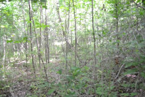 0 Dynamite Lane Livingston TN 38570