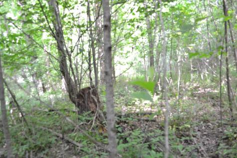 0 Dynamite Lane Livingston TN 38570
