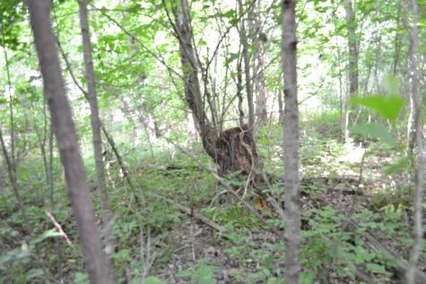 0 Dynamite Lane Livingston TN 38570