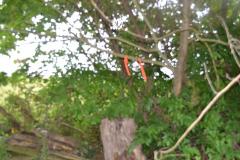 0 Dynamite Lane Livingston TN 38570