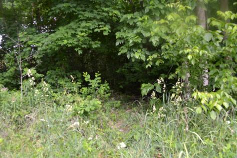 0 Dynamite Lane Livingston TN 38570