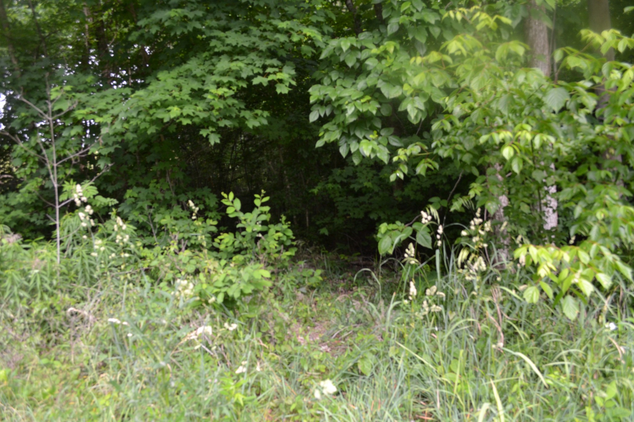 0 Dynamite Lane Livingston TN 38570