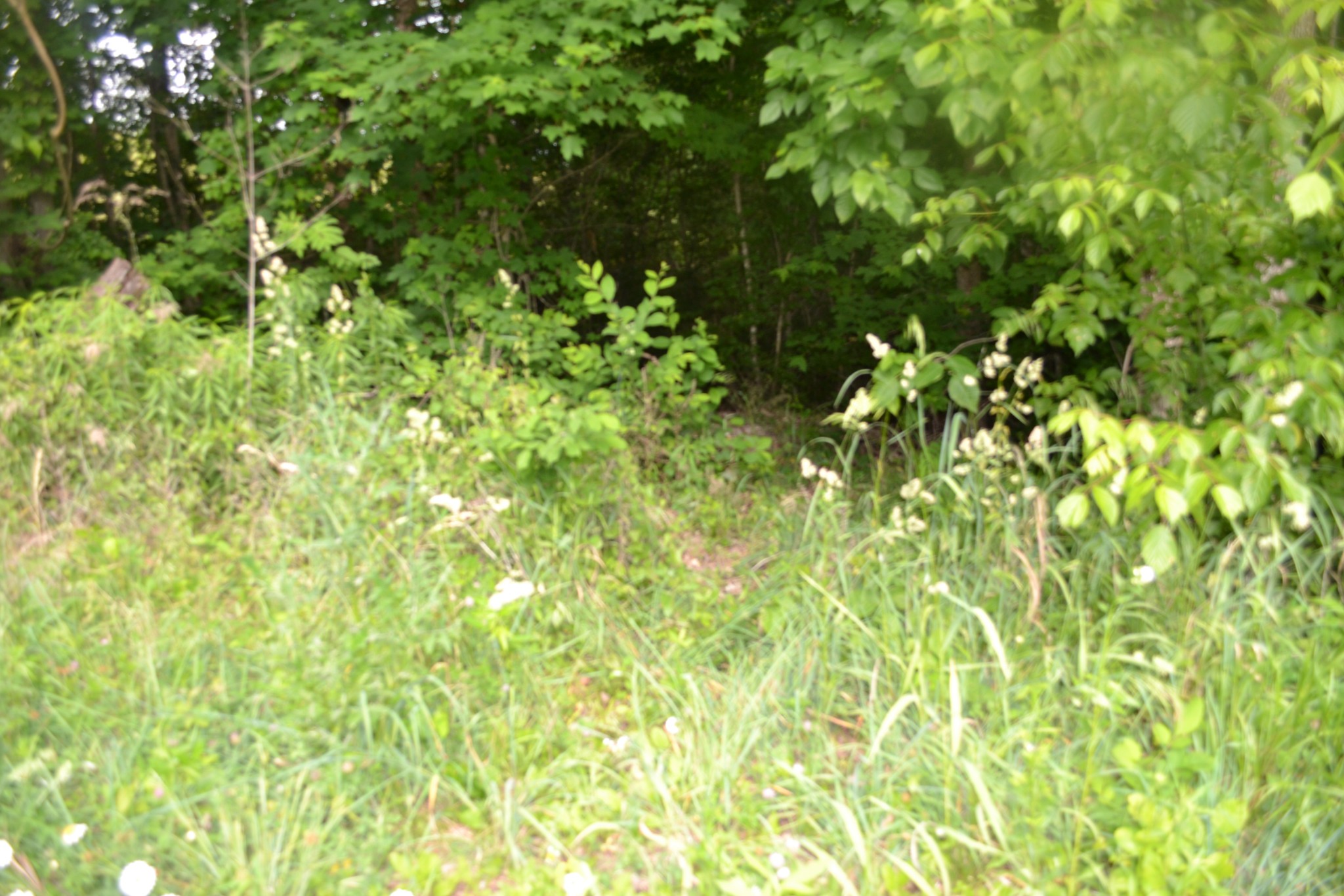0 Dynamite Lane Livingston TN 38570