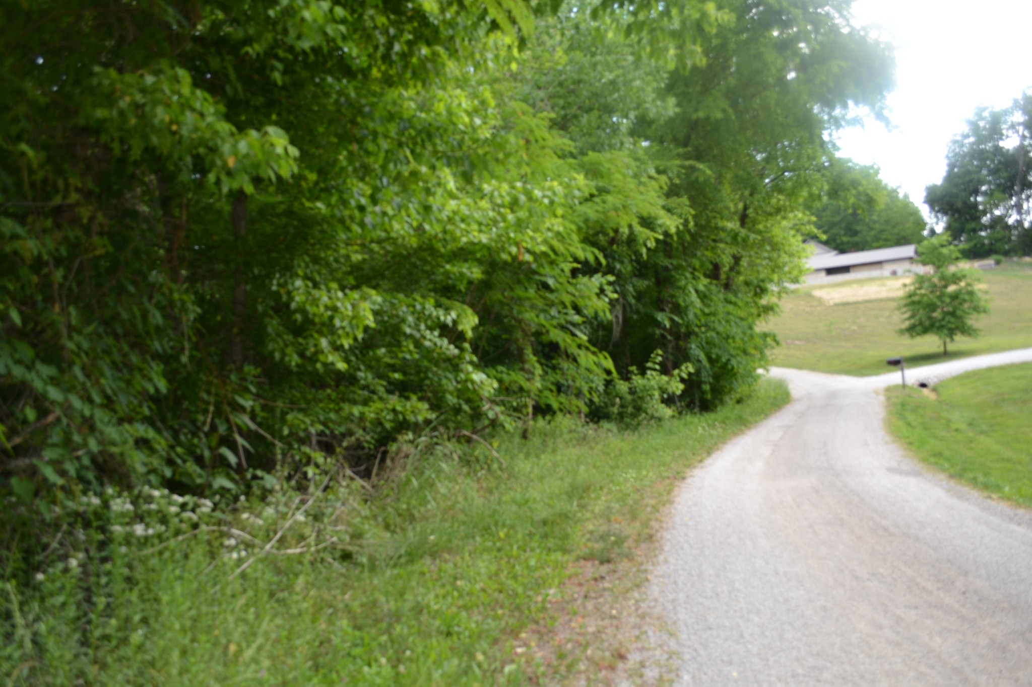 0 Dynamite Lane Livingston TN 38570