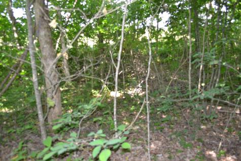 0 Dynamite Lane Livingston TN 38570