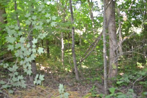 0 Dynamite Lane Livingston TN 38570