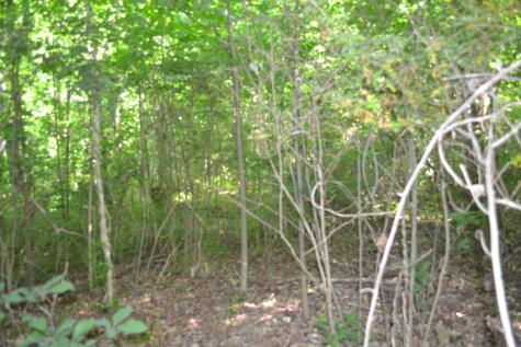 0 Dynamite Lane Livingston TN 38570