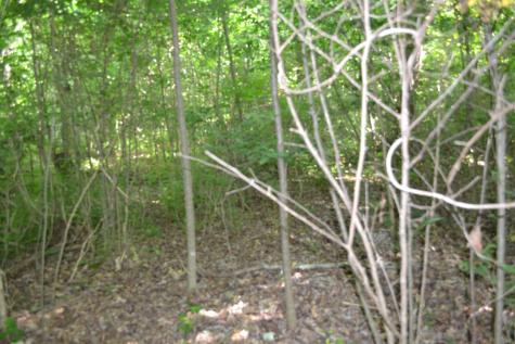 0 Dynamite Lane Livingston TN 38570