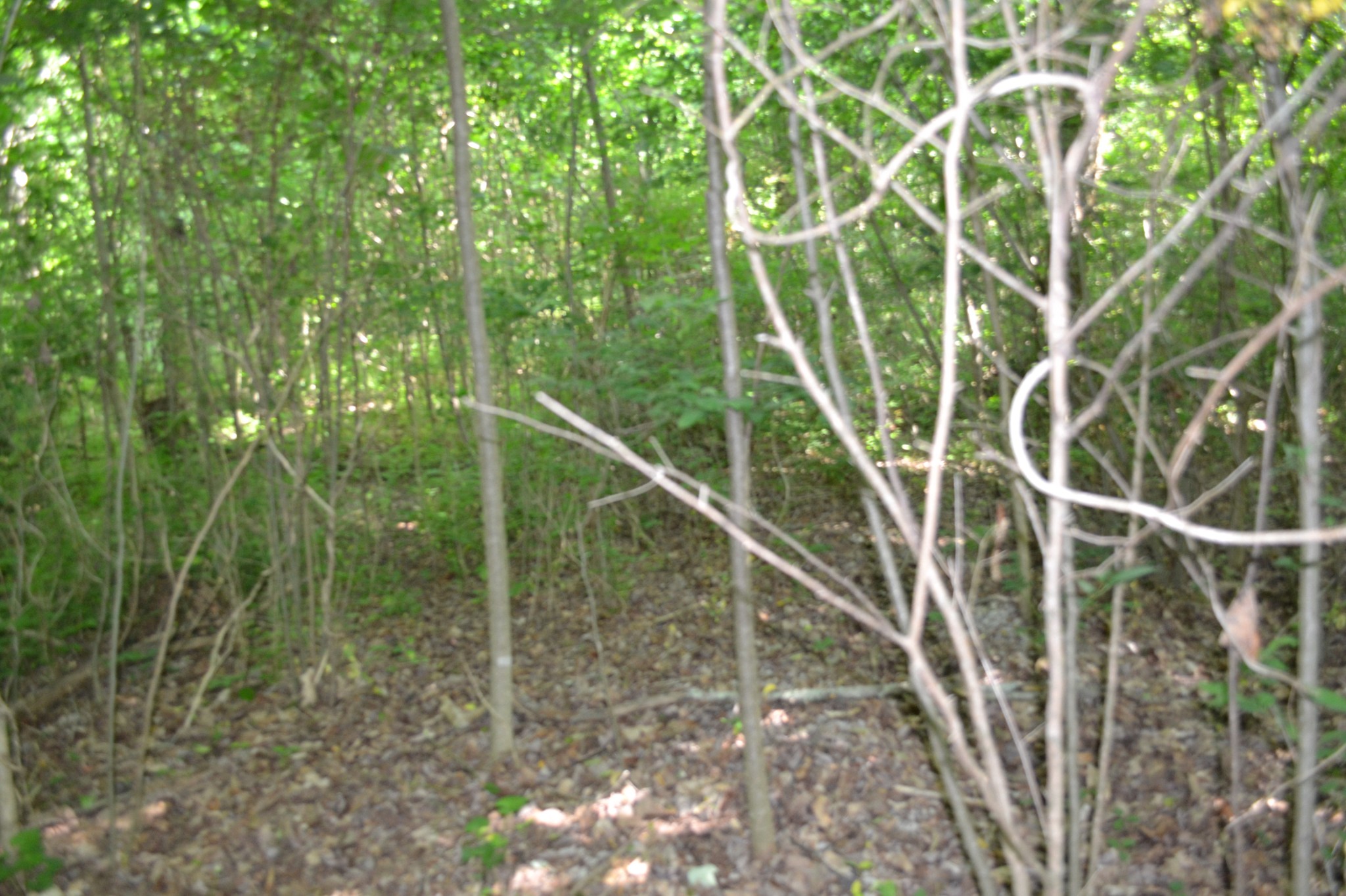 0 Dynamite Lane Livingston TN 38570
