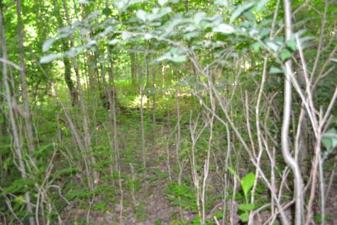 0 Dynamite Lane Livingston TN 38570