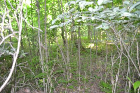 0 Dynamite Lane Livingston TN 38570