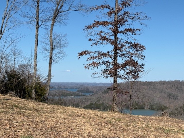 31c Rock Fish Road Hilham TN 38568