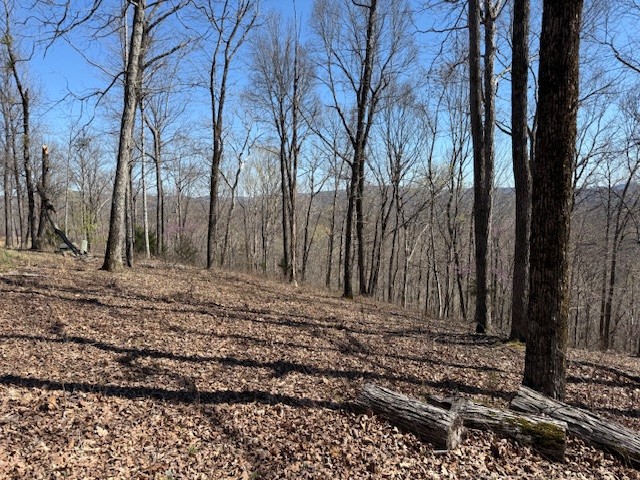 31c Rock Fish Road Hilham TN 38568