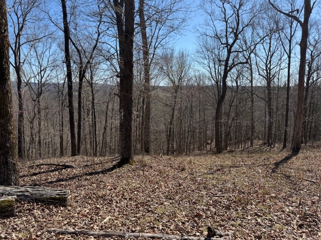 31c Rock Fish Road Hilham TN 38568