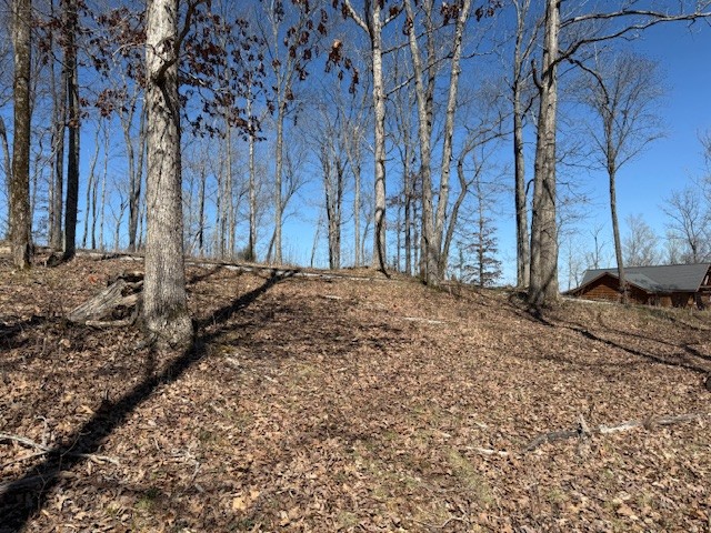 31c Rock Fish Road Hilham TN 38568