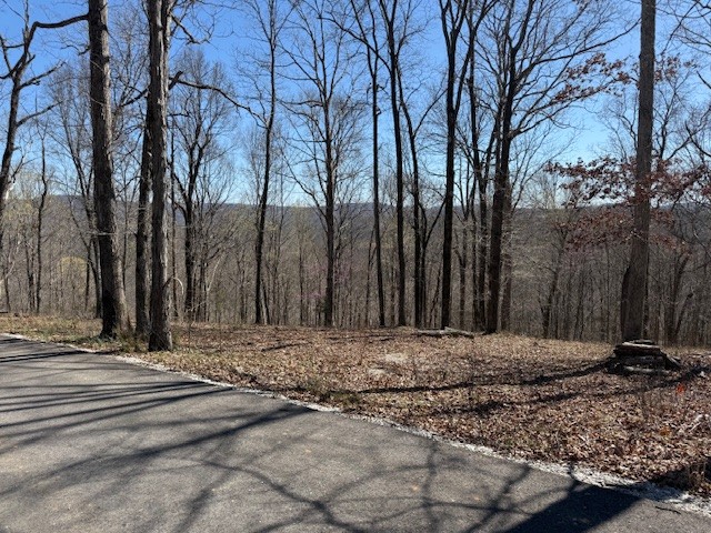 31c Rock Fish Road Hilham TN 38568