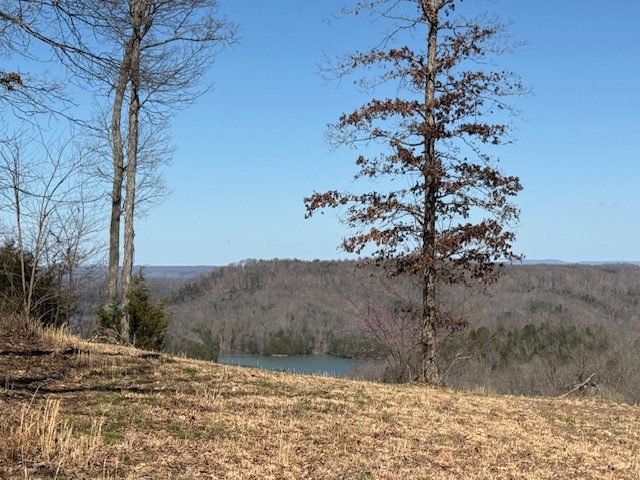 31c Rock Fish Road Hilham TN 38568