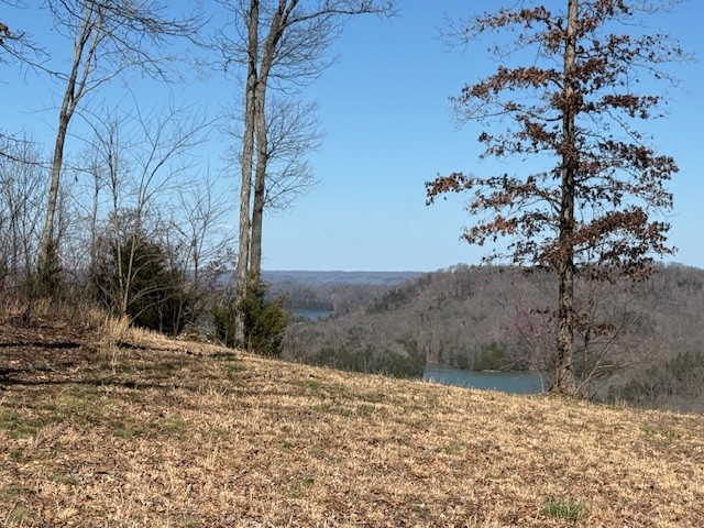 31c Rock Fish Road Hilham TN 38568