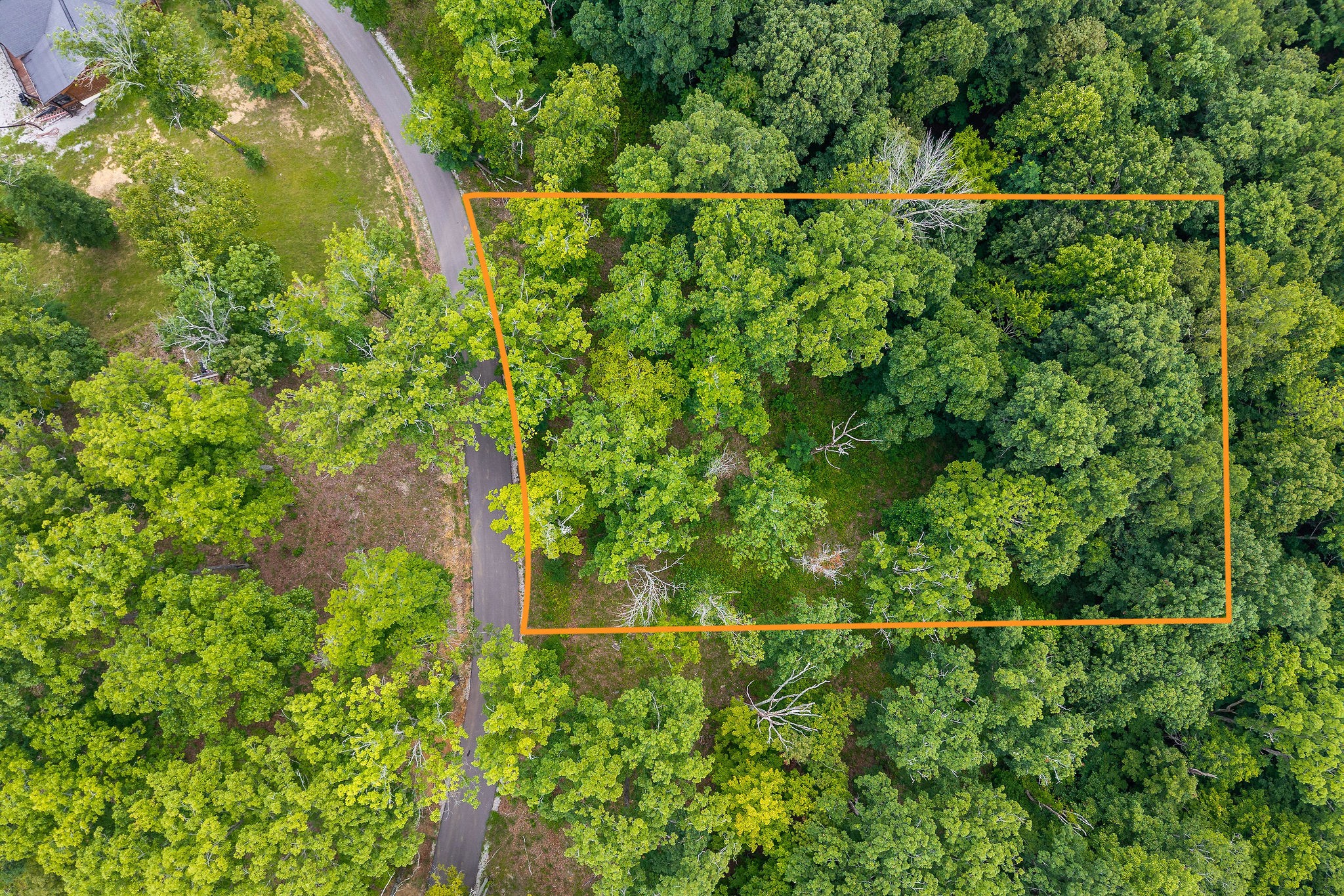 31c Rock Fish Road Hilham TN 38568