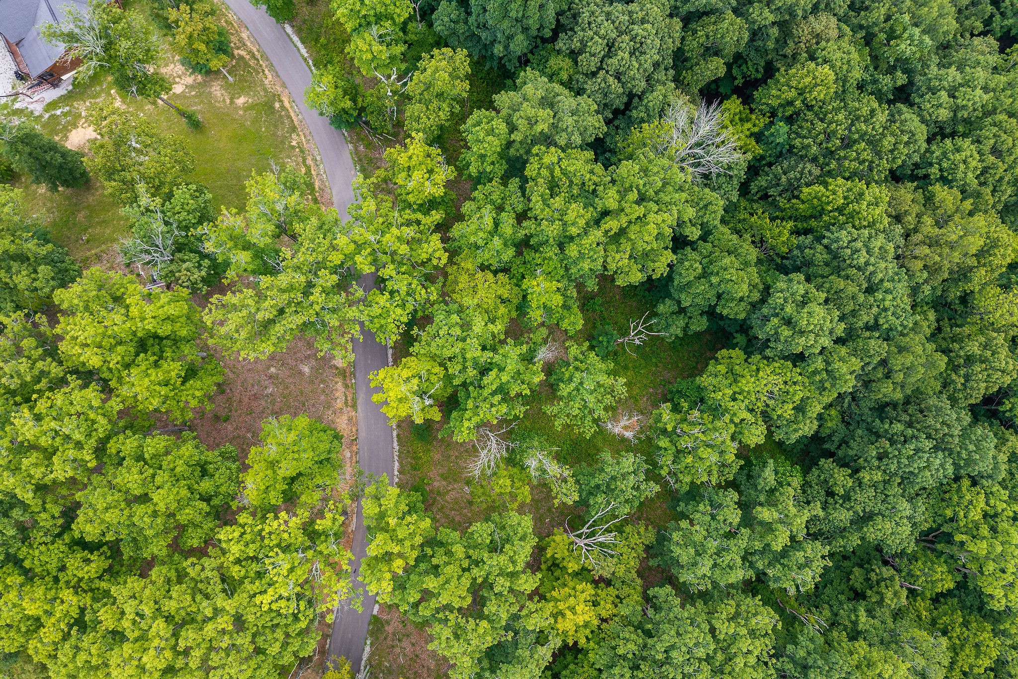 31c Rock Fish Road Hilham TN 38568