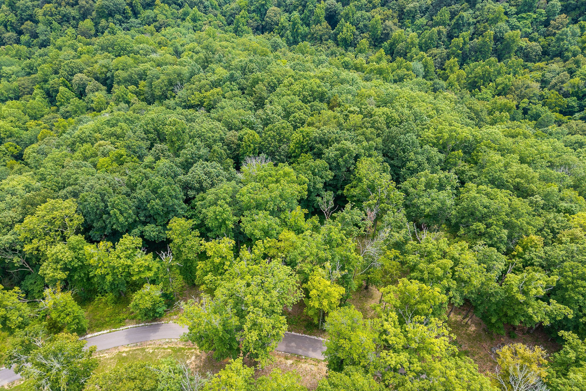31c Rock Fish Road Hilham TN 38568