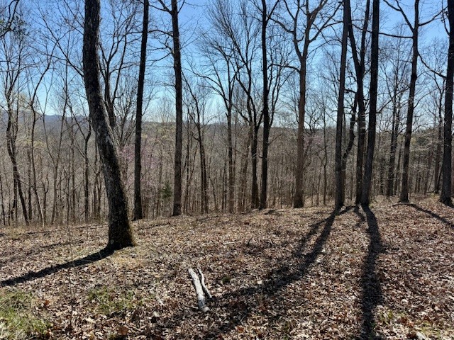 31c Rock Fish Road Hilham TN 38568