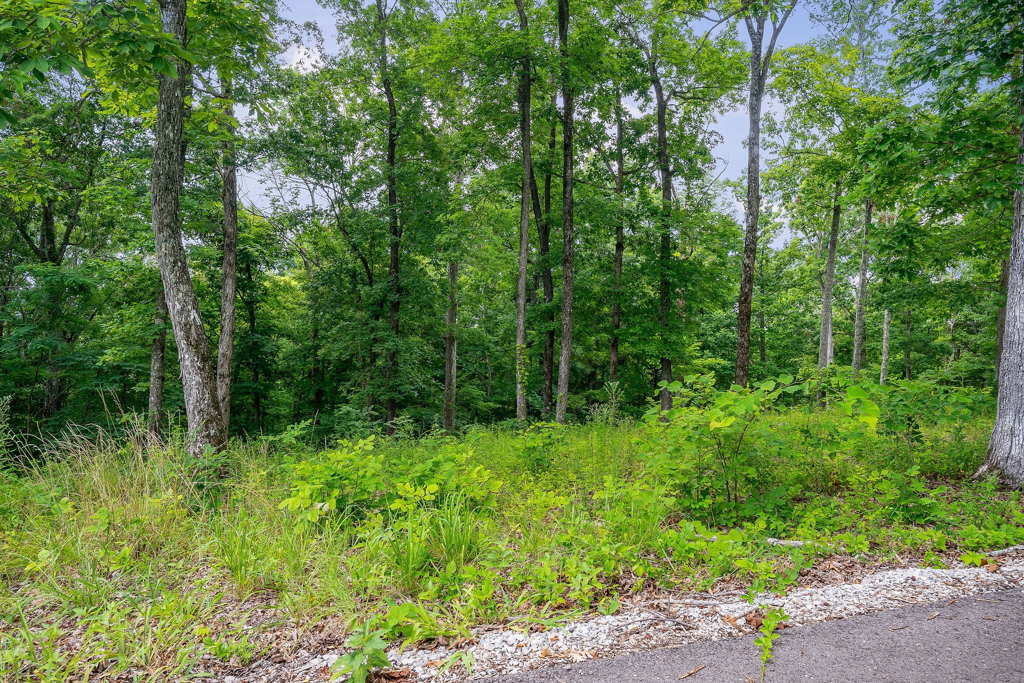 31c Rock Fish Road Hilham TN 38568