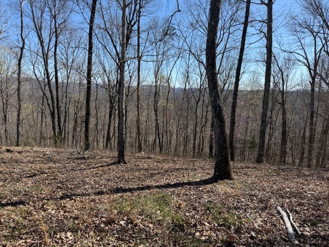 31c Rock Fish Road Hilham TN 38568