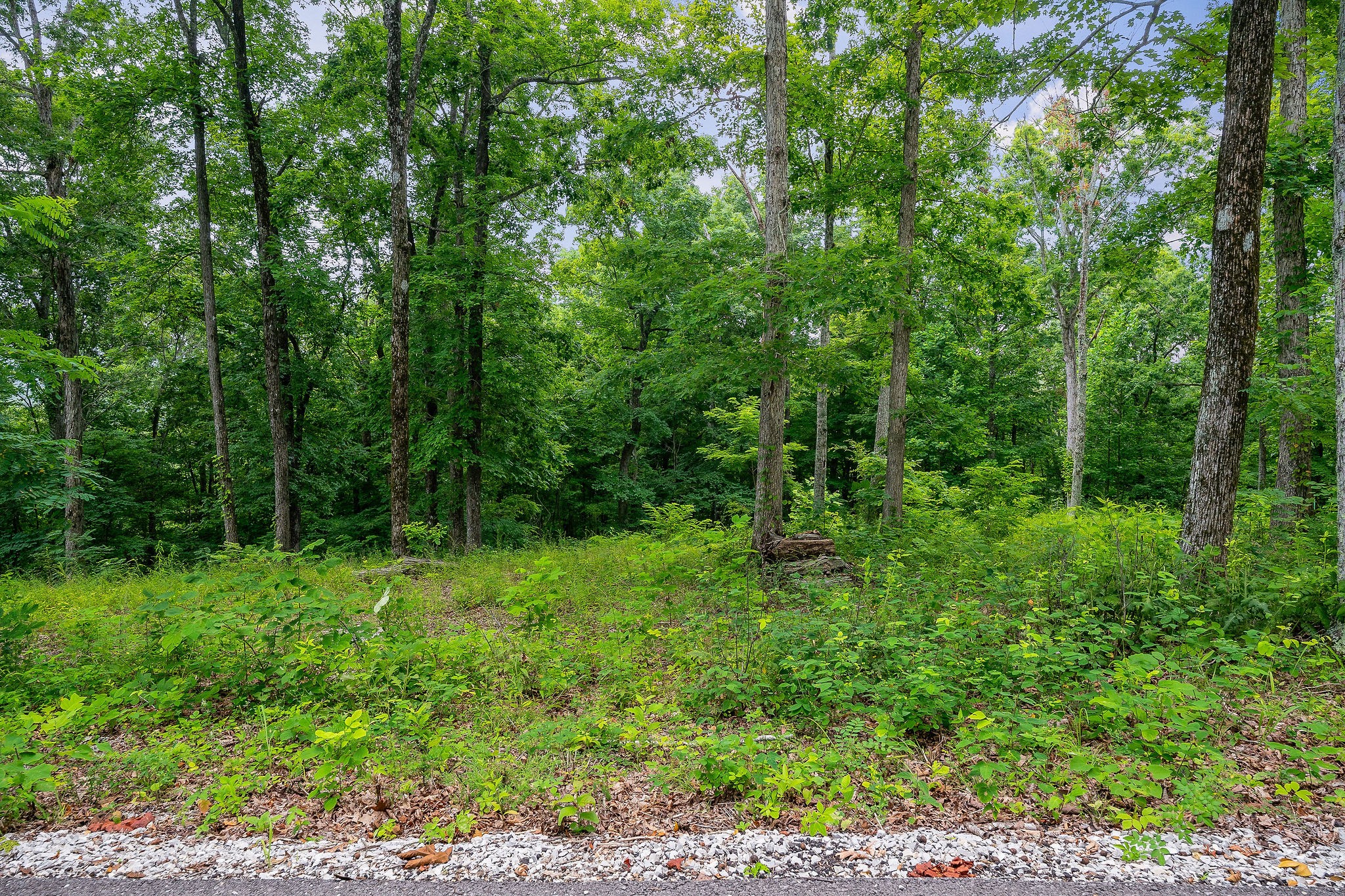 31c Rock Fish Road Hilham TN 38568