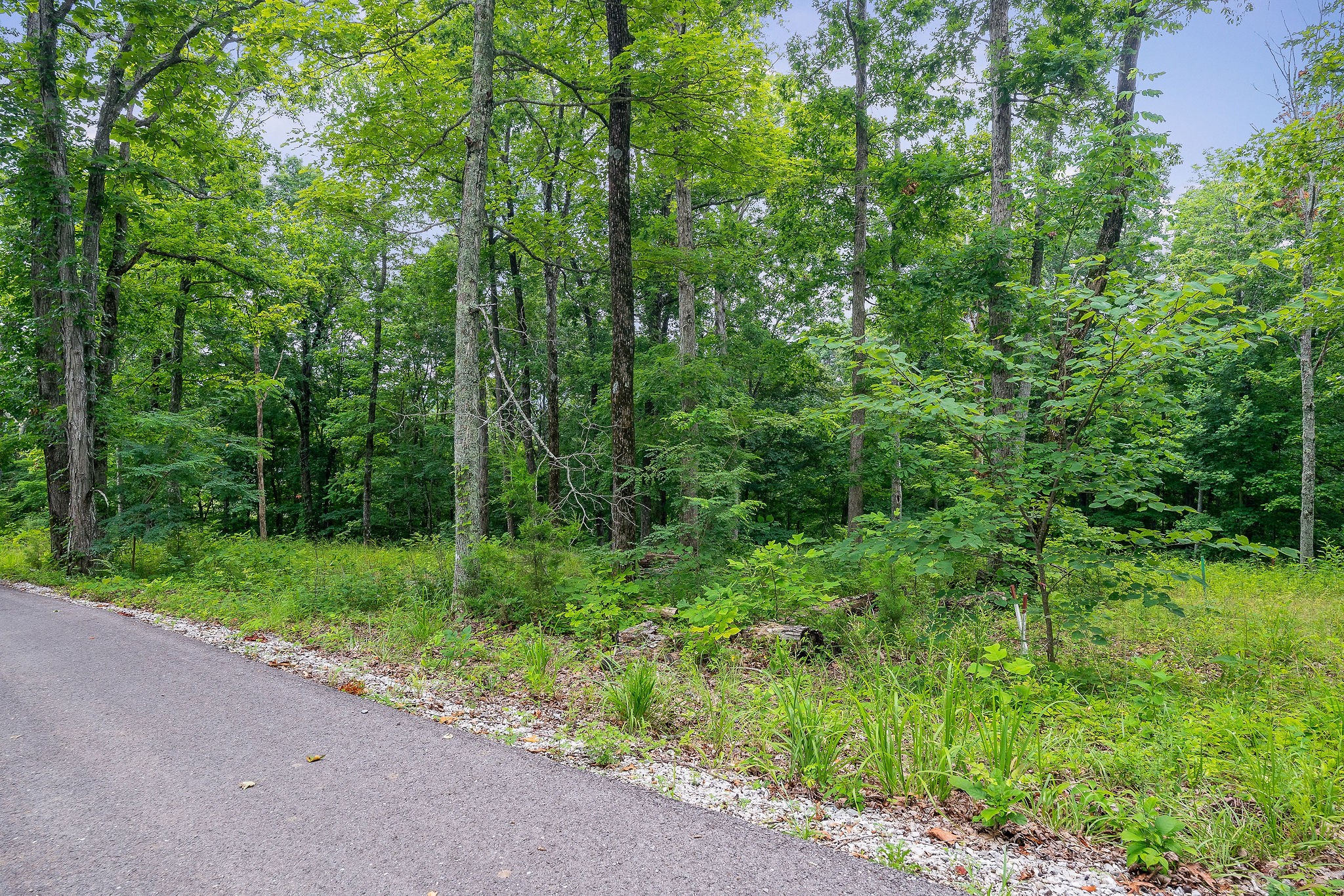 31c Rock Fish Road Hilham TN 38568