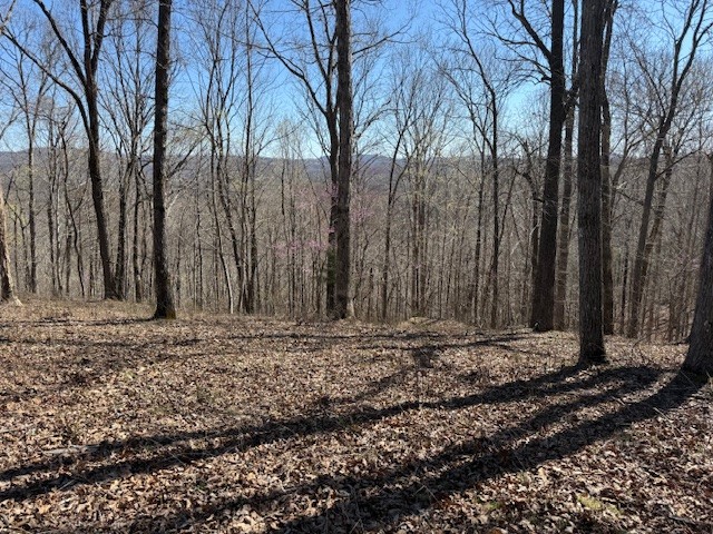 31c Rock Fish Road Hilham TN 38568