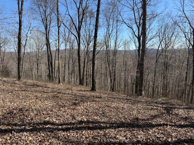 31c Rock Fish Road Hilham TN 38568