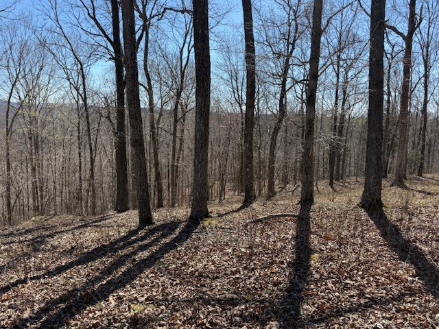31c Rock Fish Road Hilham TN 38568